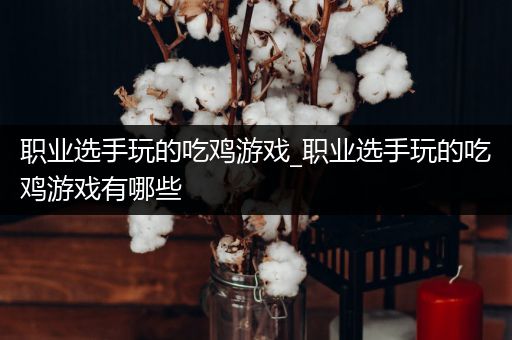 职业选手玩的吃鸡游戏_职业选手玩的吃鸡游戏有哪些