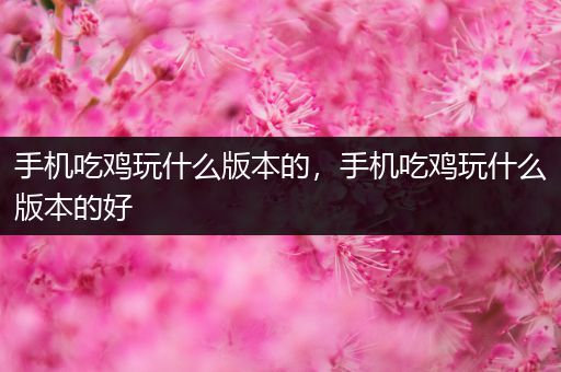 手机吃鸡玩什么版本的，手机吃鸡玩什么版本的好