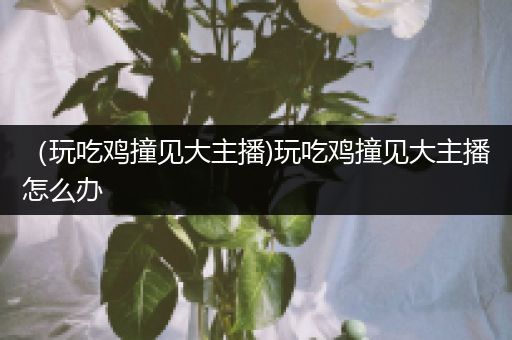（玩吃鸡撞见大主播)玩吃鸡撞见大主播怎么办