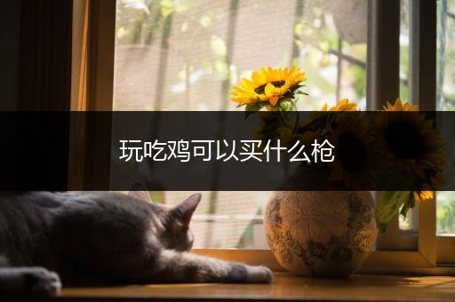 玩吃鸡可以买什么枪