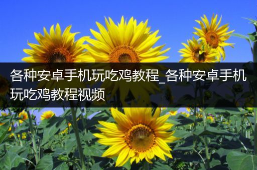 各种安卓手机玩吃鸡教程_各种安卓手机玩吃鸡教程视频