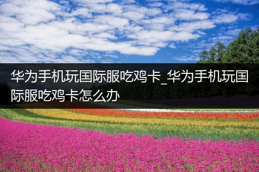 华为手机玩国际服吃鸡卡_华为手机玩国际服吃鸡卡怎么办
