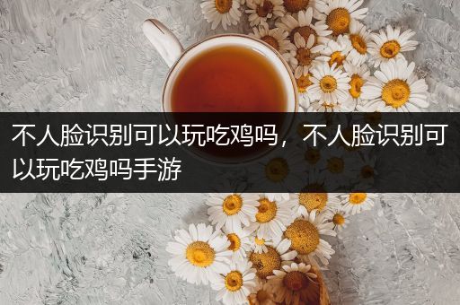 不人脸识别可以玩吃鸡吗，不人脸识别可以玩吃鸡吗手游