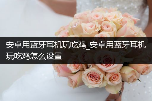 安卓用蓝牙耳机玩吃鸡_安卓用蓝牙耳机玩吃鸡怎么设置
