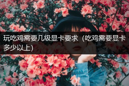 玩吃鸡需要几级显卡要求（吃鸡需要显卡多少以上）