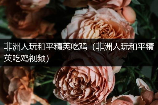 非洲人玩和平精英吃鸡（非洲人玩和平精英吃鸡视频）