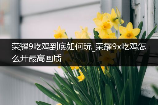 荣耀9吃鸡到底如何玩_荣耀9x吃鸡怎么开最高画质