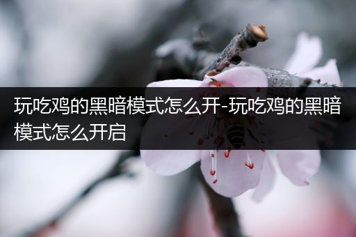 玩吃鸡的黑暗模式怎么开-玩吃鸡的黑暗模式怎么开启