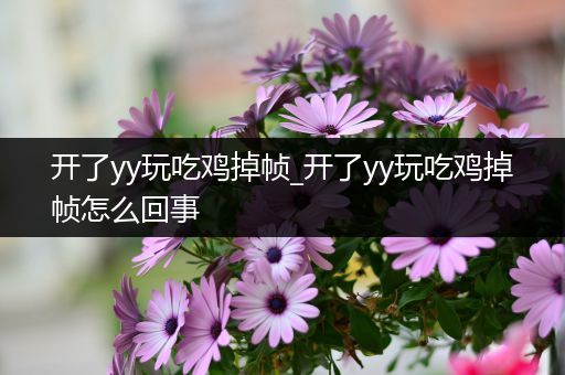 开了yy玩吃鸡掉帧_开了yy玩吃鸡掉帧怎么回事