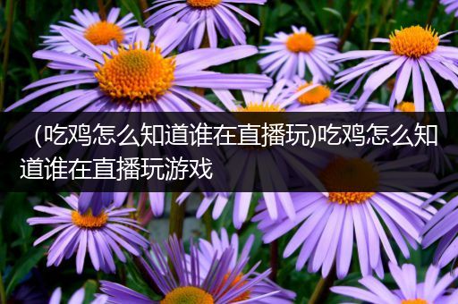 （吃鸡怎么知道谁在直播玩)吃鸡怎么知道谁在直播玩游戏