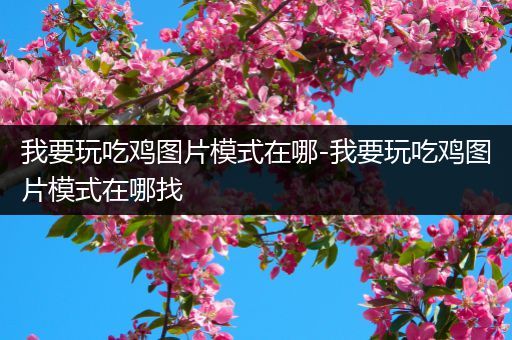 我要玩吃鸡图片模式在哪-我要玩吃鸡图片模式在哪找