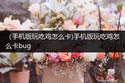 （手机版玩吃鸡怎么卡)手机版玩吃鸡怎么卡bug