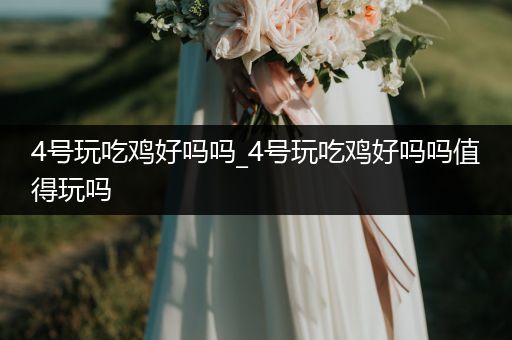 4号玩吃鸡好吗吗_4号玩吃鸡好吗吗值得玩吗
