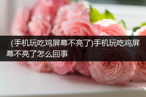 （手机玩吃鸡屏幕不亮了)手机玩吃鸡屏幕不亮了怎么回事