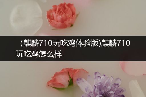 （麒麟710玩吃鸡体验版)麒麟710玩吃鸡怎么样