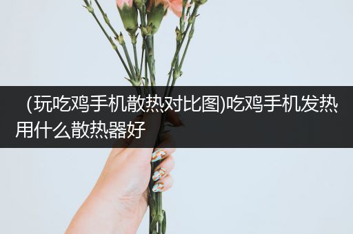 （玩吃鸡手机散热对比图)吃鸡手机发热用什么散热器好