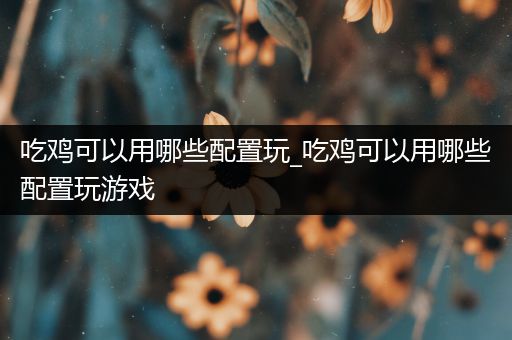 吃鸡可以用哪些配置玩_吃鸡可以用哪些配置玩游戏