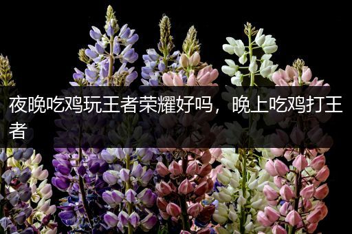 夜晚吃鸡玩王者荣耀好吗，晚上吃鸡打王者