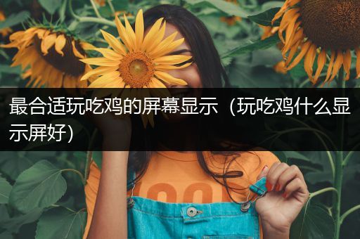 最合适玩吃鸡的屏幕显示（玩吃鸡什么显示屏好）