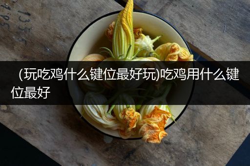 （玩吃鸡什么键位最好玩)吃鸡用什么键位最好