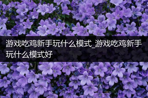 游戏吃鸡新手玩什么模式_游戏吃鸡新手玩什么模式好