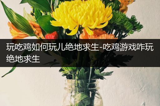 玩吃鸡如何玩儿绝地求生-吃鸡游戏咋玩绝地求生