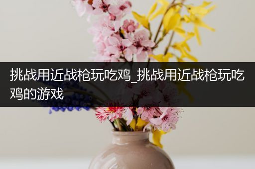 挑战用近战枪玩吃鸡_挑战用近战枪玩吃鸡的游戏