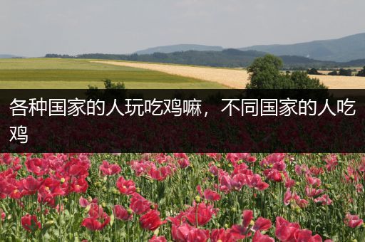 各种国家的人玩吃鸡嘛，不同国家的人吃鸡