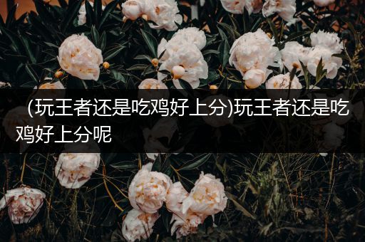 （玩王者还是吃鸡好上分)玩王者还是吃鸡好上分呢