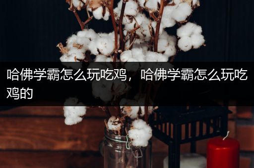 哈佛学霸怎么玩吃鸡，哈佛学霸怎么玩吃鸡的
