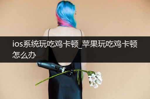 ios系统玩吃鸡卡顿_苹果玩吃鸡卡顿怎么办