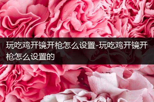 玩吃鸡开镜开枪怎么设置-玩吃鸡开镜开枪怎么设置的