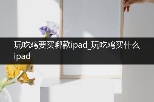 玩吃鸡要买哪款ipad_玩吃鸡买什么ipad