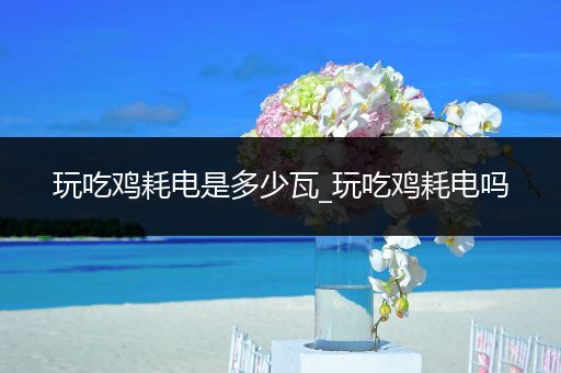 玩吃鸡耗电是多少瓦_玩吃鸡耗电吗