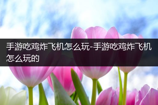 手游吃鸡炸飞机怎么玩-手游吃鸡炸飞机怎么玩的