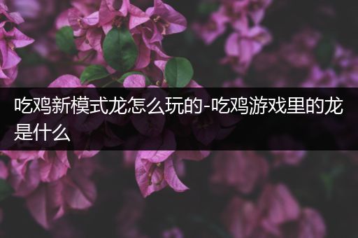 吃鸡新模式龙怎么玩的-吃鸡游戏里的龙是什么