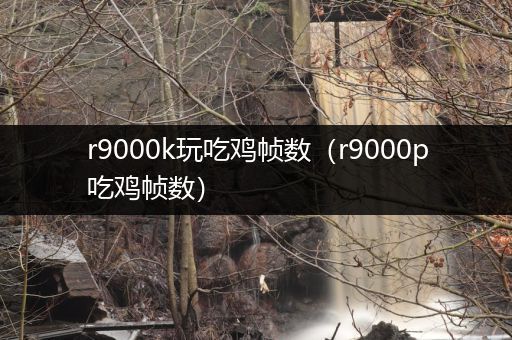 r9000k玩吃鸡帧数（r9000p吃鸡帧数）