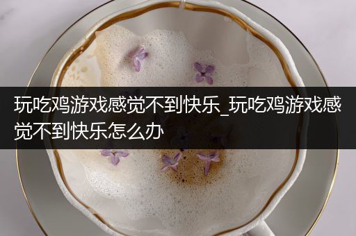玩吃鸡游戏感觉不到快乐_玩吃鸡游戏感觉不到快乐怎么办