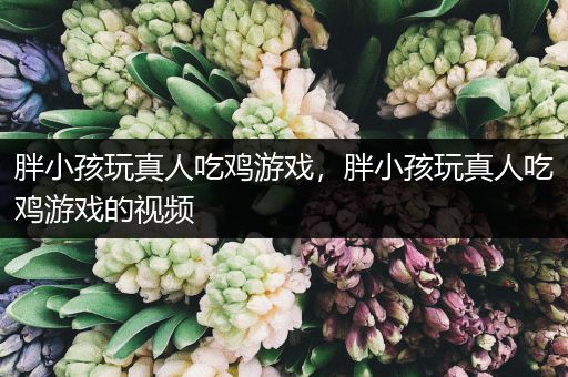 胖小孩玩真人吃鸡游戏，胖小孩玩真人吃鸡游戏的视频