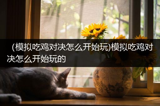 （模拟吃鸡对决怎么开始玩)模拟吃鸡对决怎么开始玩的