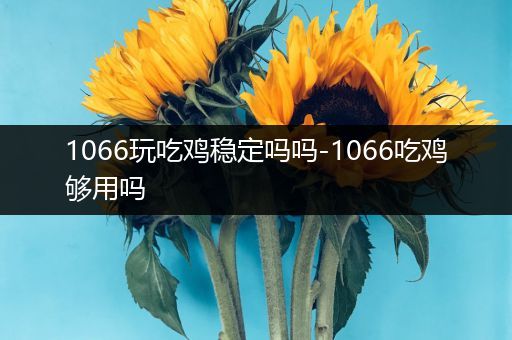 1066玩吃鸡稳定吗吗-1066吃鸡够用吗