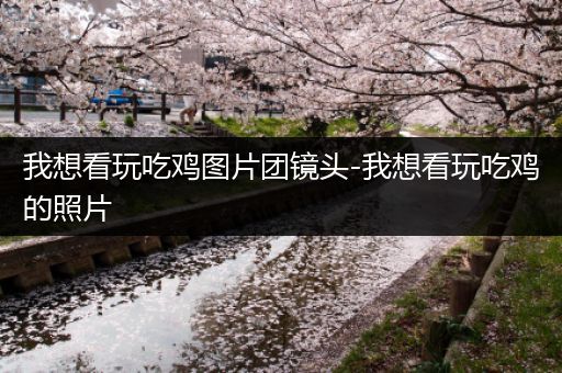 我想看玩吃鸡图片团镜头-我想看玩吃鸡的照片