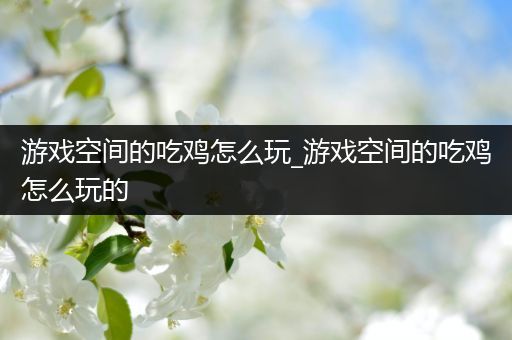 游戏空间的吃鸡怎么玩_游戏空间的吃鸡怎么玩的