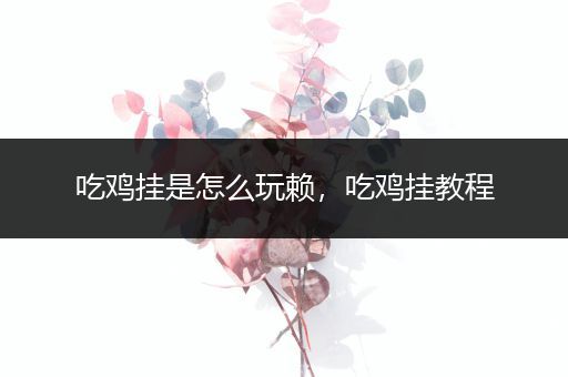 吃鸡挂是怎么玩赖，吃鸡挂教程