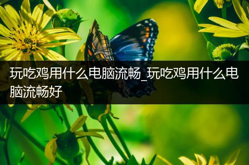 玩吃鸡用什么电脑流畅_玩吃鸡用什么电脑流畅好