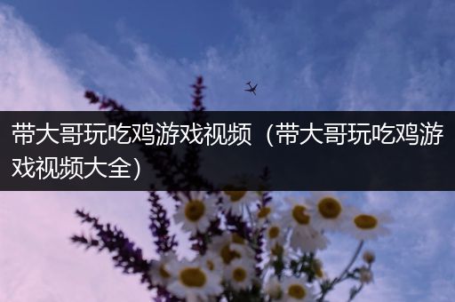 带大哥玩吃鸡游戏视频（带大哥玩吃鸡游戏视频大全）