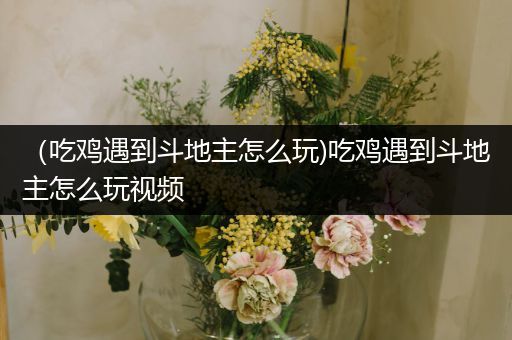 （吃鸡遇到斗地主怎么玩)吃鸡遇到斗地主怎么玩视频