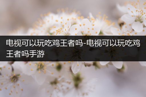 电视可以玩吃鸡王者吗-电视可以玩吃鸡王者吗手游