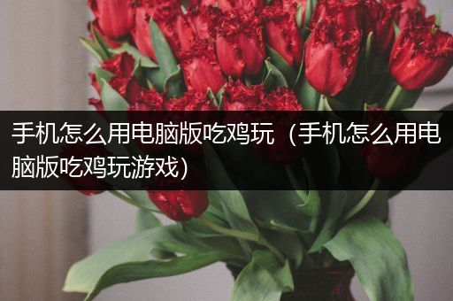 手机怎么用电脑版吃鸡玩（手机怎么用电脑版吃鸡玩游戏）