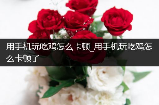 用手机玩吃鸡怎么卡顿_用手机玩吃鸡怎么卡顿了